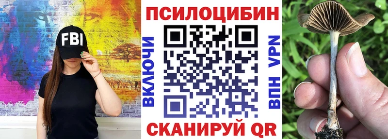 Галлюциногенные грибы Magic Shrooms  наркотики  Зеленогорск 
